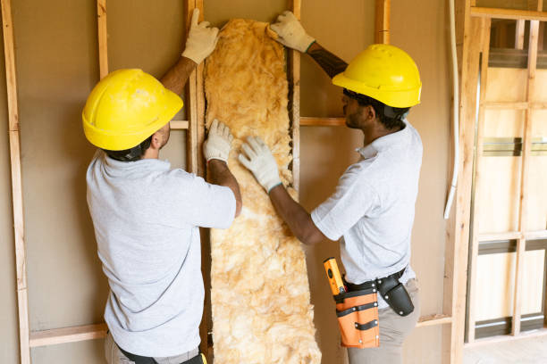 Best Insulation for New Construction  in Fillmore, UT